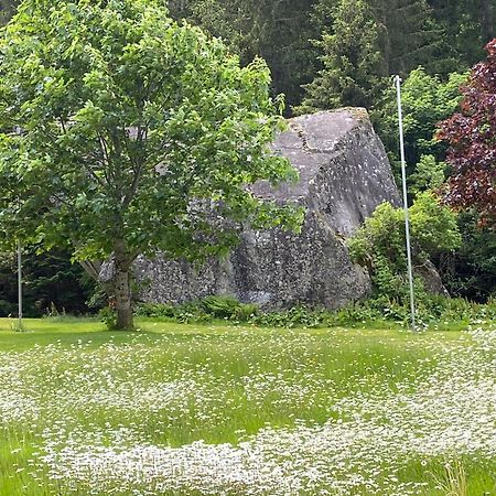 Haus Am Rain Bed & Breakfast Partenen Exterior foto
