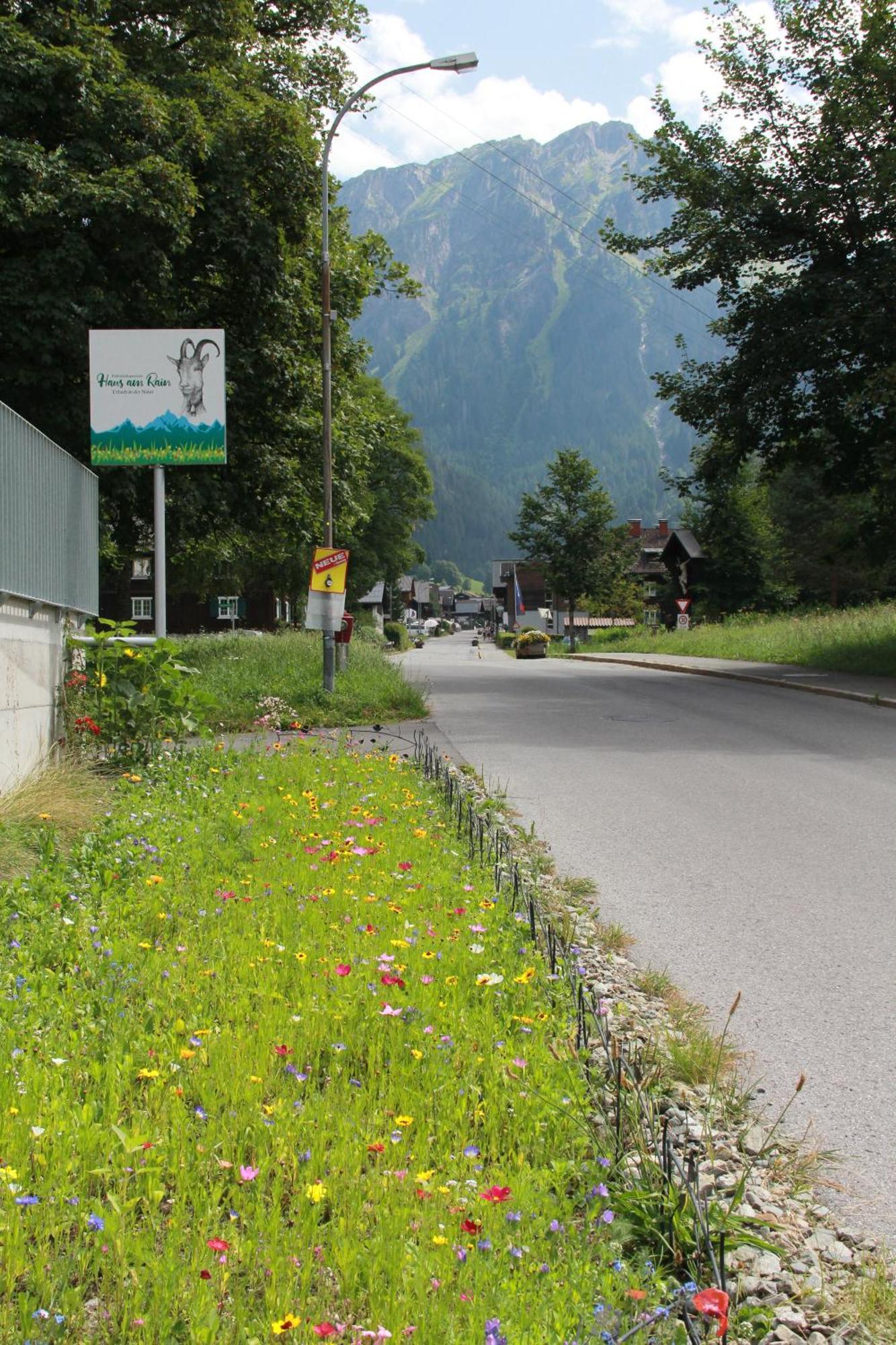 Haus Am Rain Bed & Breakfast Partenen Exterior foto