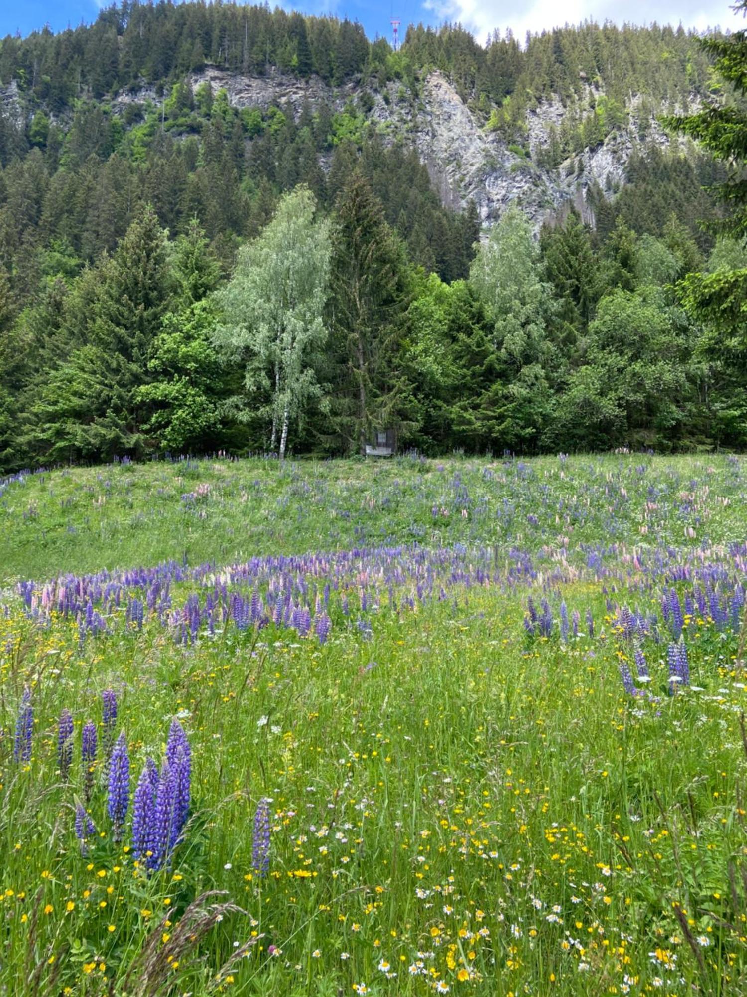 Haus Am Rain Bed & Breakfast Partenen Exterior foto