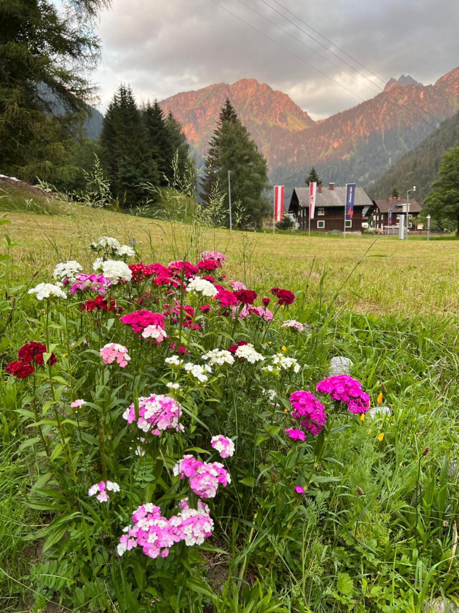 Haus Am Rain Bed & Breakfast Partenen Exterior foto